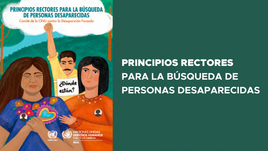 Principios rectores para la búsqueda de personas desaparecidas