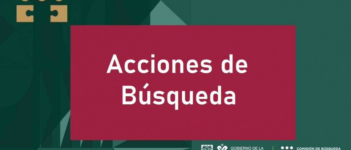 Acciones de Busqueda.jpg